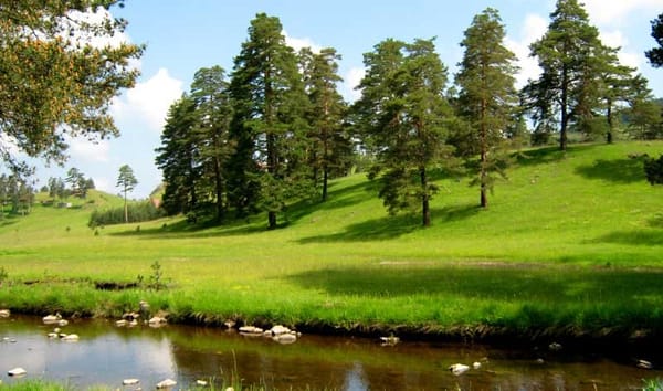 5 Places to visit when you come to Serbia: photo 7