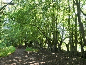 North Norfolk: A postage stamp view; culture, beauty & diversity: photo 28