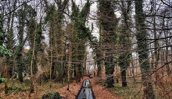 Berlin’s Best Spots for Photo Ops: photo 1