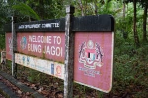 Bung Jagoi: A piece of Borneo Bidayuh native history