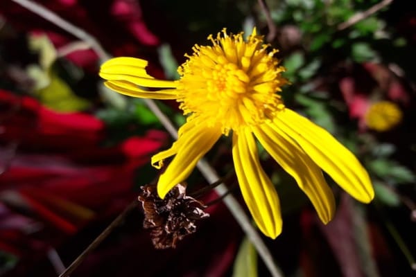 Baguio: What to see and do all-year round: photo 3