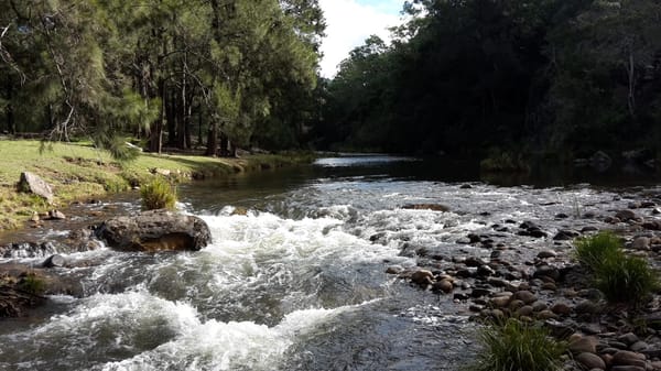 Australia: Hidden Waterfall Trail of New South Wales: photo 2
