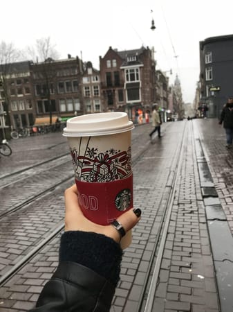 One more weekend in Amsterdam: photo 2