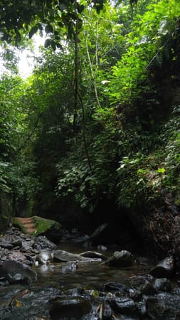 Curug Nangka, Famous Waterfall in Bogor: photo 5