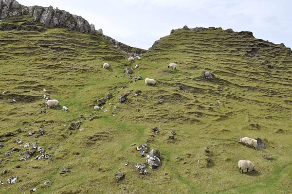 A weekend in the Isle of Skye: from Portree to Uig: photo 7