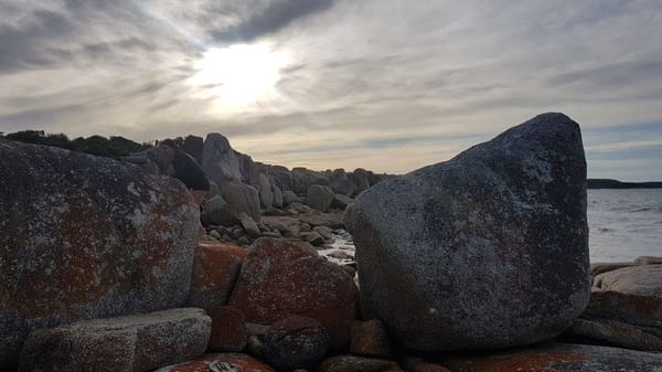 A Ten Day Tasmanian Road Trip: photo 5
