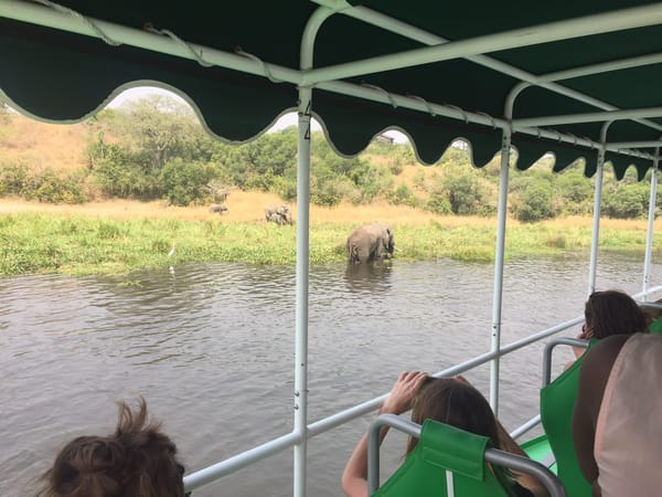 3 THINGS YOU MUST DO IN UGANDA: photo 2
