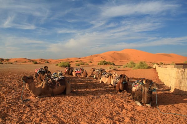 Merzouga Desert: Exploring Sahara On A Camel: photo 7