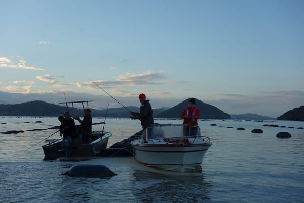 New Zealand's North Island: photo 19