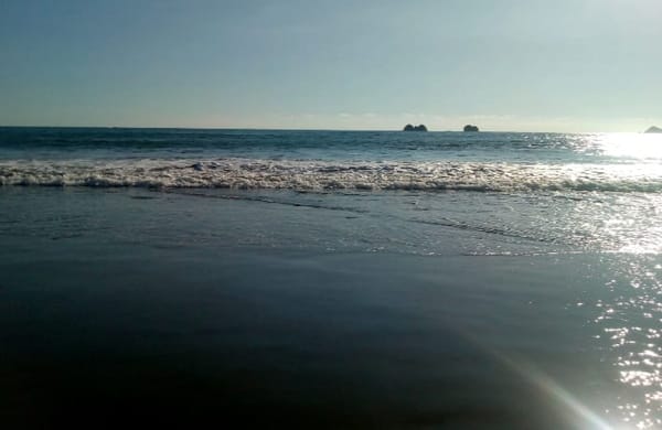 The Best Things About Traveling in Costa Rica: photo 3