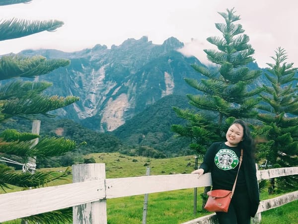 The Mini New Zealand of Malaysia: Desa Cattle Dairy Farm: photo 4