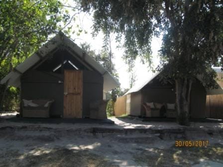 Maun:your stay at Old bridge backpackers: photo 3