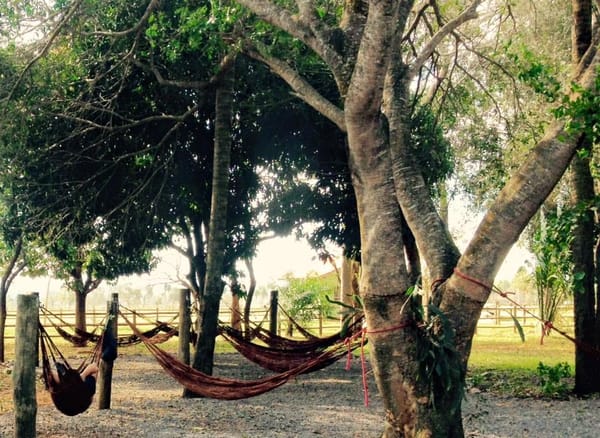 Bonito, Mato Grosso do Sul: 4 days of a road trip in Brazil: photo 8
