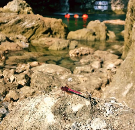 Wow Bolinao: An overnight getaway: photo 2