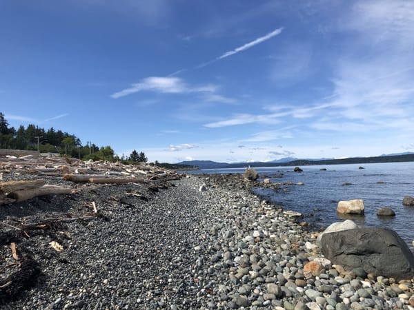 Guide to Vancouver Island: photo 5