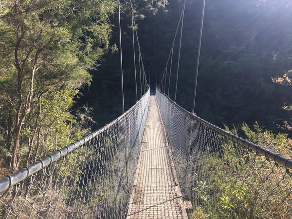 New Zealand South Island: Exploring the Abel Tasman: photo 3