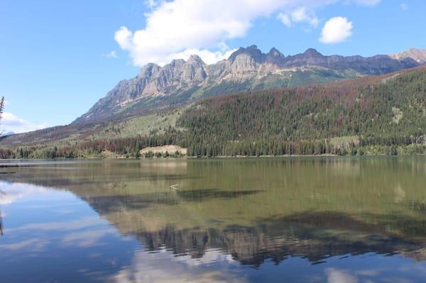 Things to Know to Road Trip in Jasper National Park, Canada: photo 1