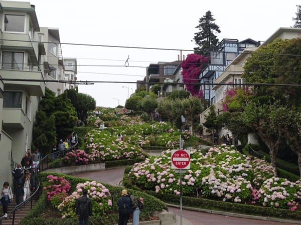 Top 7 Things to Do in San Francisco: photo 3