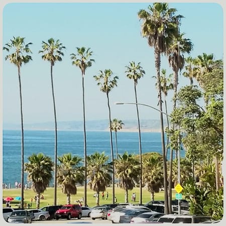 La Jolla: Relaxation Rejuvenation and Fun in the Sun: photo 4