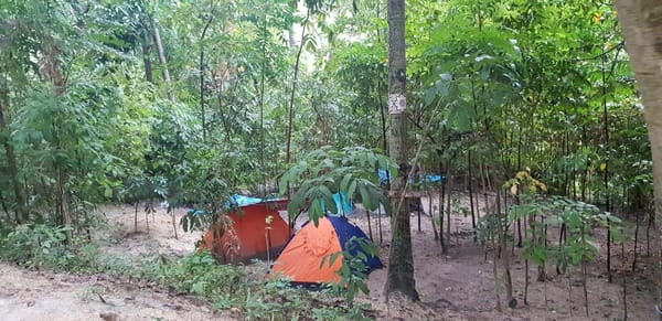Bacalla Woods- A Campsite in Cebu, Philippines: photo 4