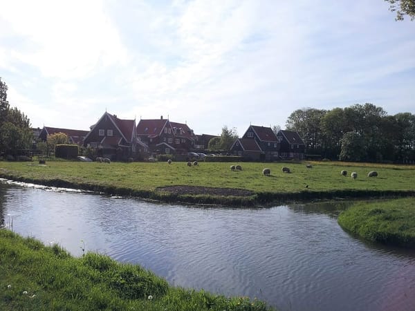 Amsterdam: Amazing Travel Destination: photo 13
