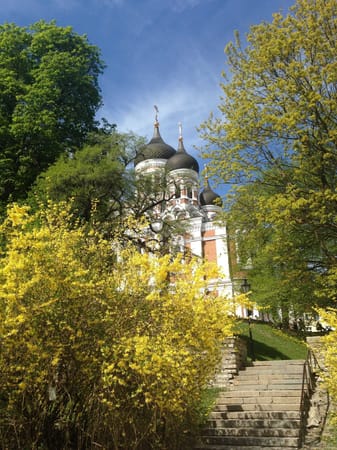 Overview of Tallinn: photo 5