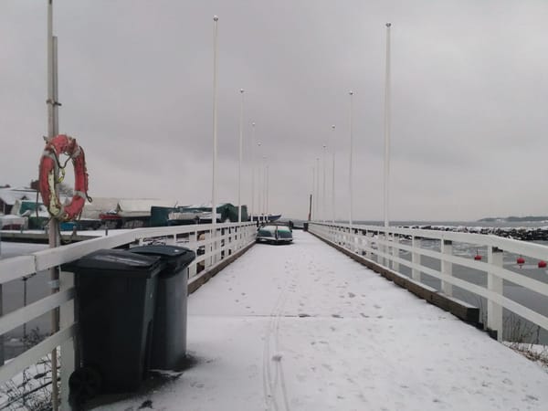 The Unconventional Winter Walk to the Islands of Helsinki: photo 6
