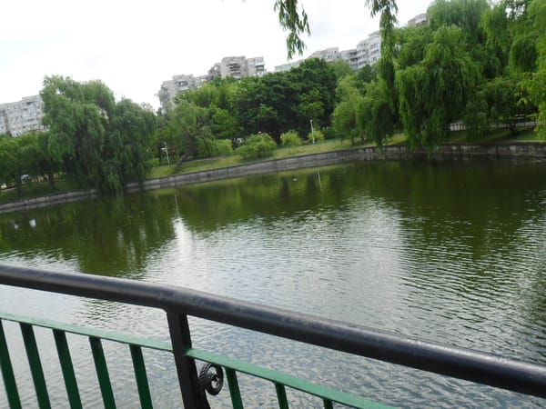 6 Challenges you'll face during your stay in Bucharest (Romania): photo 6