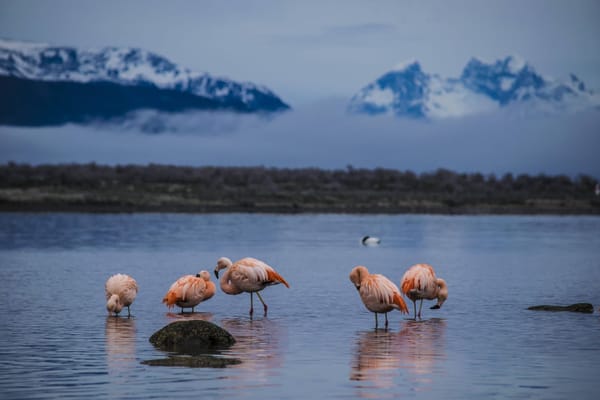 Patagonia in Winter: From Southern Chile to Argentina: photo 1