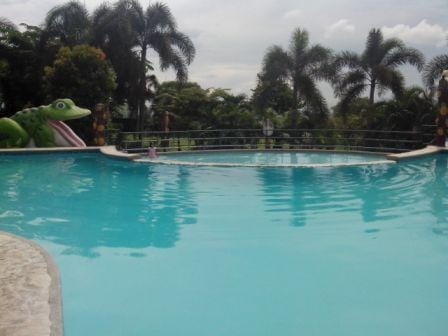Paradise Ranch: Conservation Park in Clark Pampanga, Philippines: photo 27