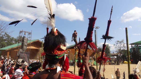 Welcome to Nagaland's Hornbill Festival: photo 21