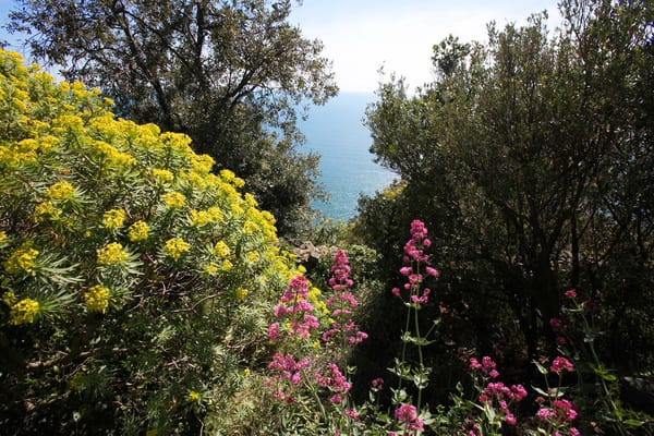 Tramonti di Campiglia - Off the beaten tracks of Cinque Terre: photo 6