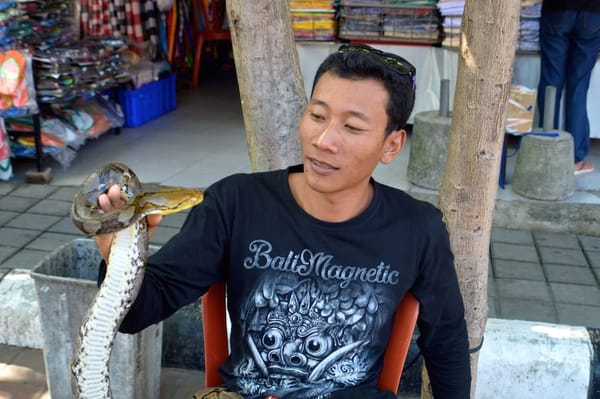 INDONESIA - A day trip in Bali: photo 1