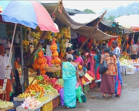 Perfect 9 Days Itinerary in Sri Lanka + backpacker advice: photo 10