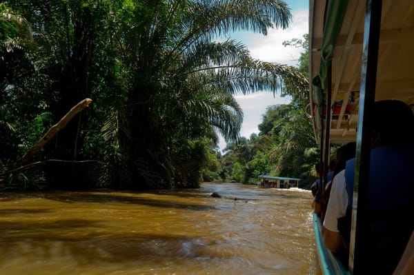 No roads, Tortuguero canals of Costa Rica: photo 1