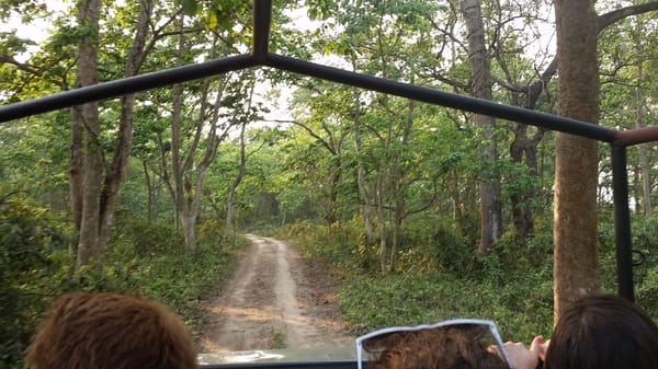 The Elephant Experience in Chitwan: photo 4