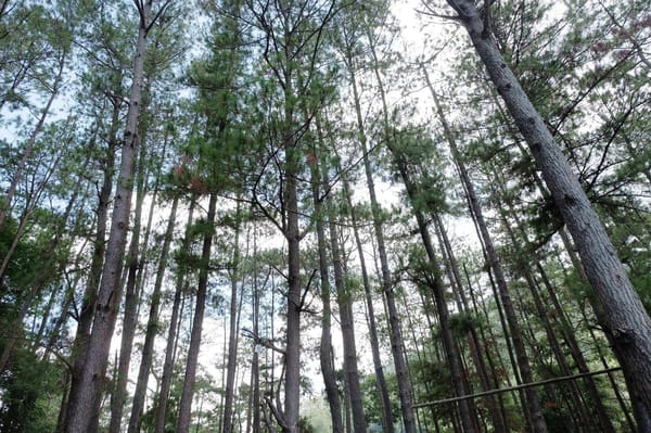 A Hike to Remember: Bucari, Iloilo, Philippines: photo 1