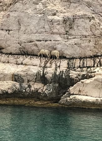 Exploring Split, and Other Awe-Inspiring Places in Croatia: photo 10