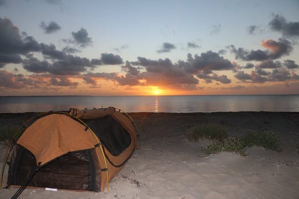 Innes National Park: The Beach Dweller: photo 2