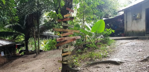 Bacalla Woods- A Campsite in Cebu, Philippines: photo 3