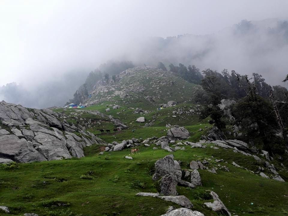 Mcloedganj - Abundance of Natural Beauty