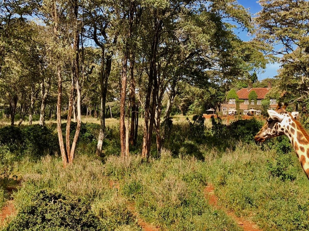 What to do, love, and see in Nairobi