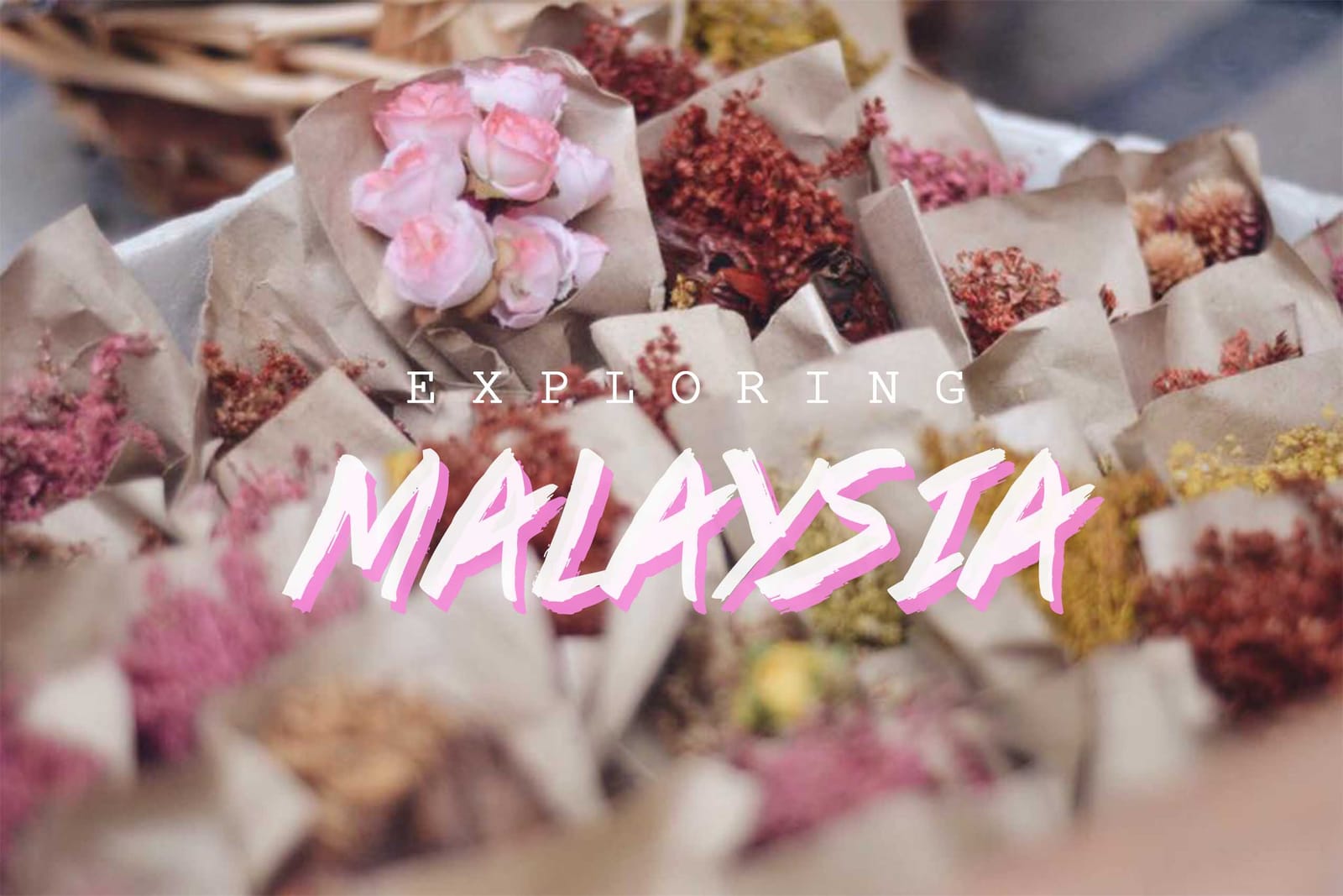 30 Days in Malaysia for $410