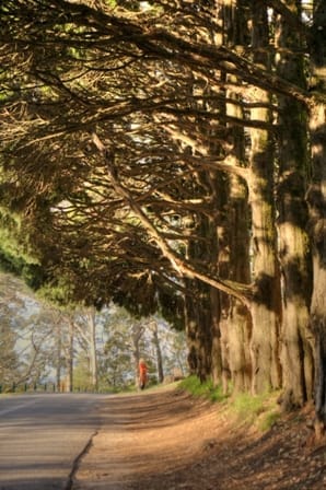 BACK TO NATURE – SYDNEY’S FARM GATE TRAIL