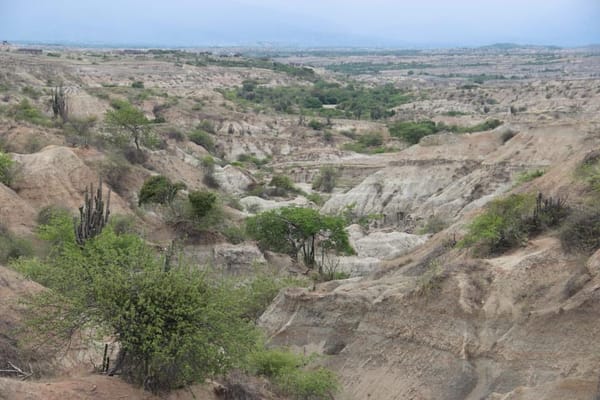 5 reasons why you should visit the Tatacoa Desert: photo 2