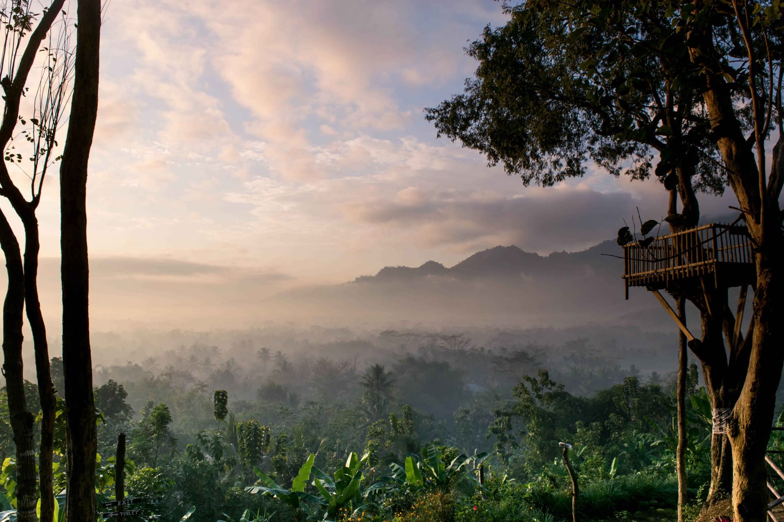 Yogyakarta: from Colourful Batik to Cruel Bird Market