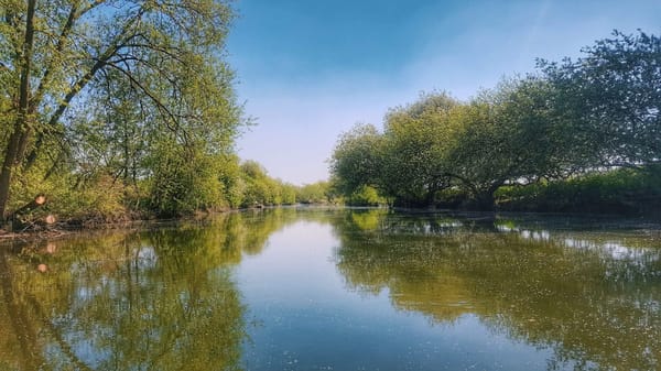 Top 7 Things to Do on Your Next Trip to Canterbury: photo 7