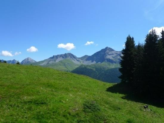 Experiencing the Swiss Alps: photo 2
