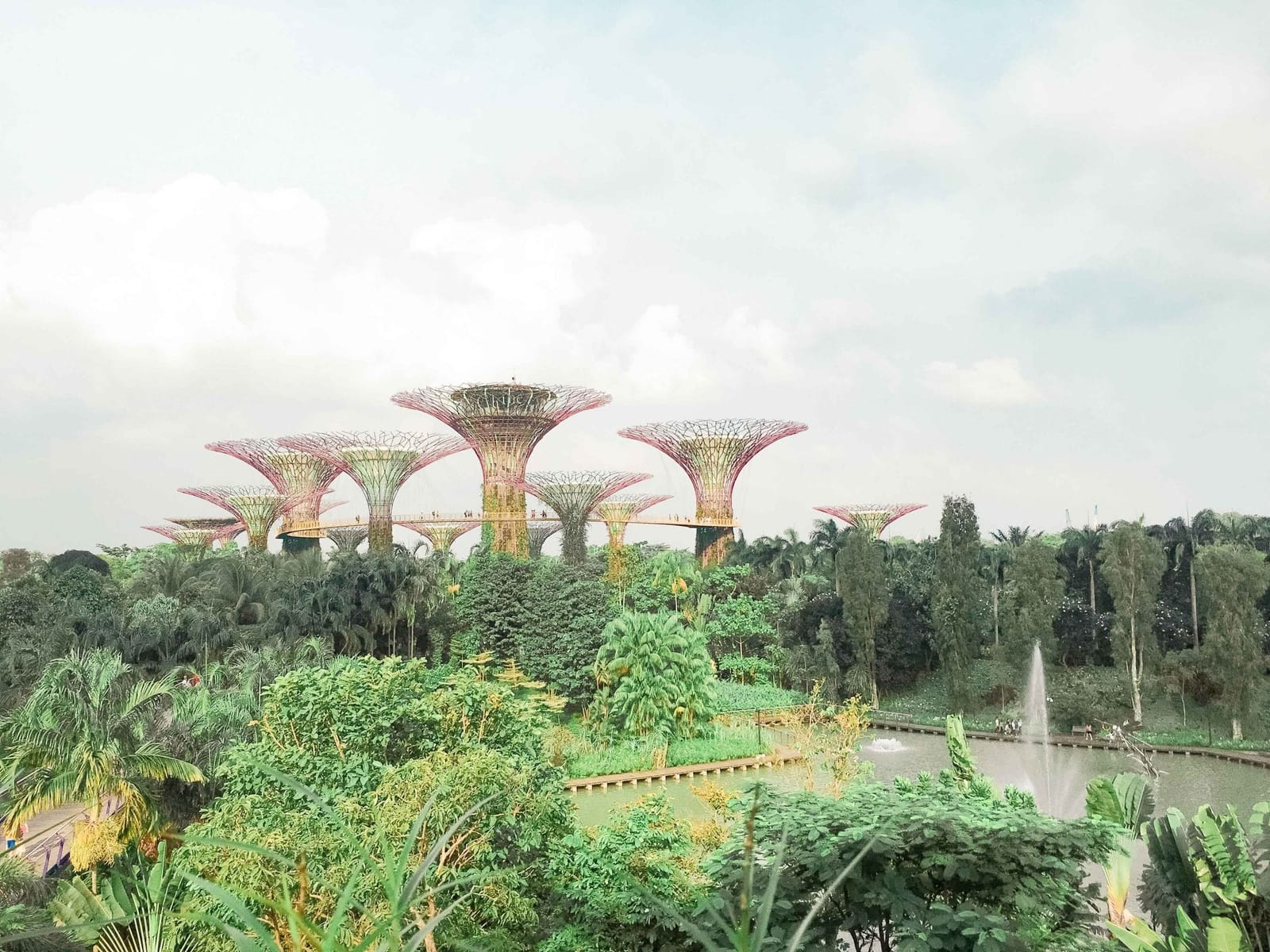 Singapore on A Budget: What To Do and Where To Go