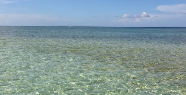 Tobago: The Perfect Island Getaway: photo 3